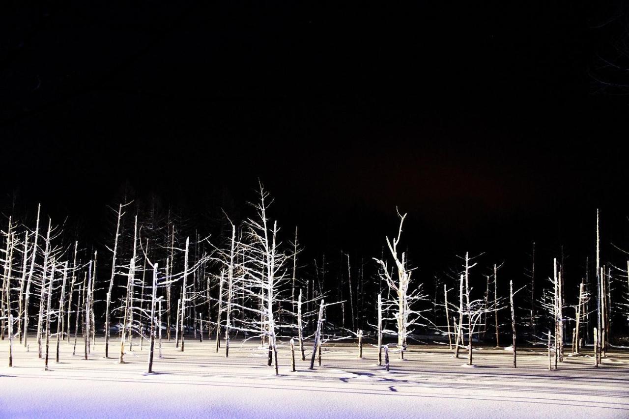 Stay In Tokiwa Asahikawa Zewnętrze zdjęcie